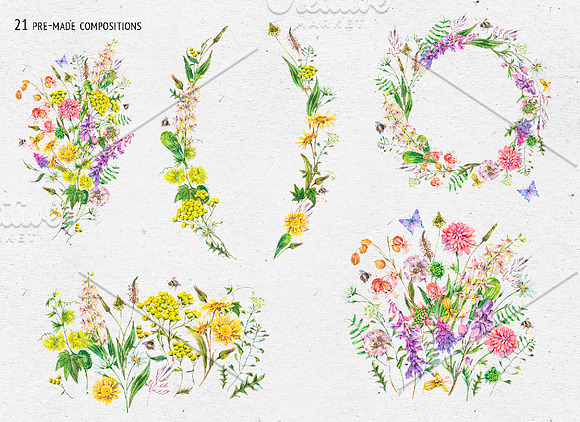 Watercolor meadow herbs&flowers in Illustrations - product preview 7