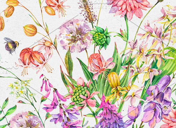 Watercolor meadow herbs&flowers in Illustrations - product preview 8