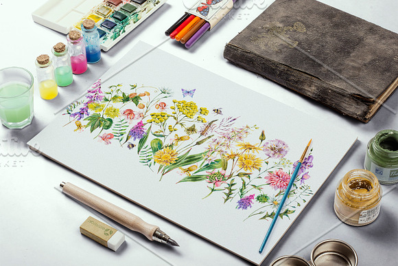 Watercolor meadow herbs&flowers in Illustrations - product preview 10