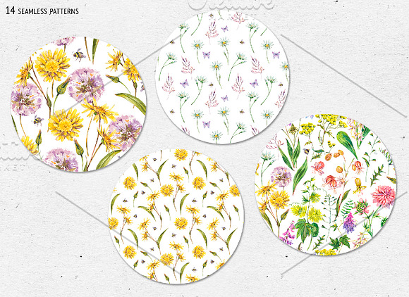Watercolor meadow herbs&flowers in Illustrations - product preview 12