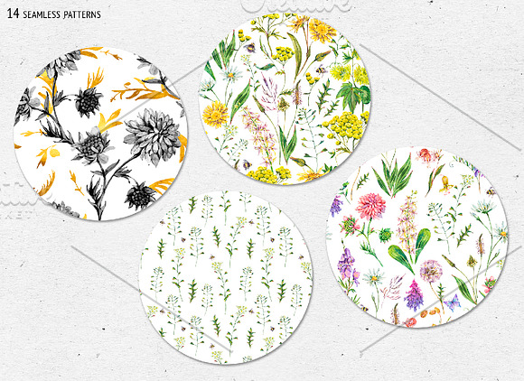 Watercolor meadow herbs&flowers in Illustrations - product preview 13