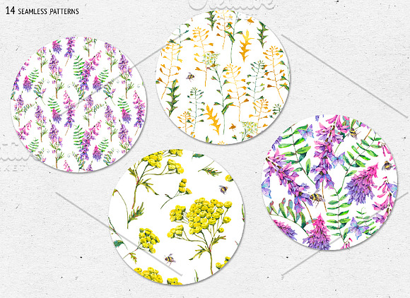 Watercolor meadow herbs&flowers in Illustrations - product preview 14