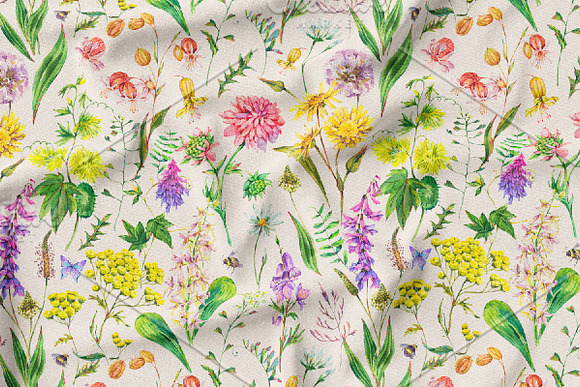 Watercolor meadow herbs&flowers in Illustrations - product preview 15