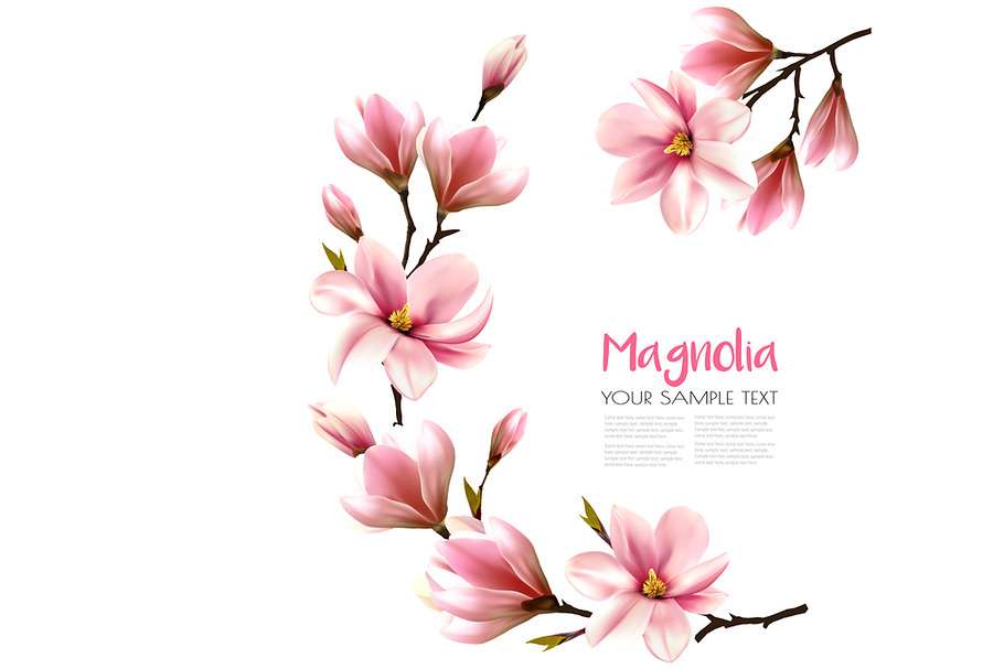 Nature background with magnolia in Illustrations - product preview 8