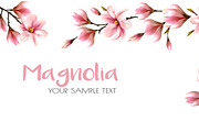 Magnolia background vector