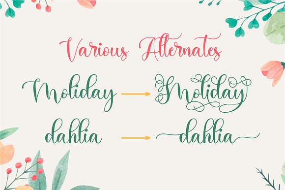 Holiday Script in Script Fonts - product preview 6