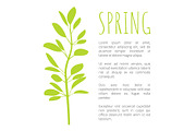 Spring Info Poster with Oval Leaves