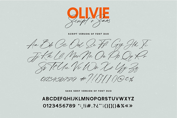 Olivie Font Duo // Script & Sans in Display Fonts - product preview 15
