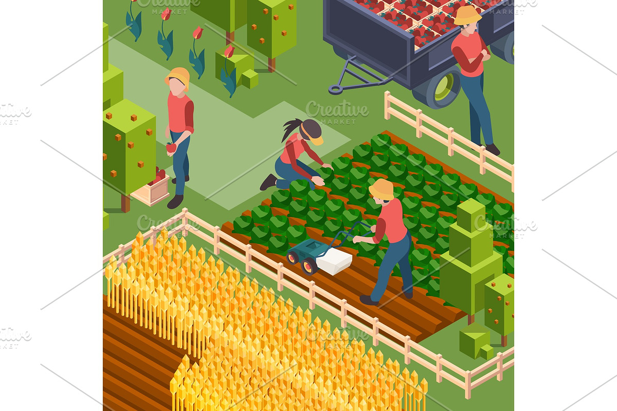 Farmers harvest. Isometric people in Graphics - product preview 8
