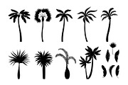 Palm tree silhouettes. Exotic brazil
