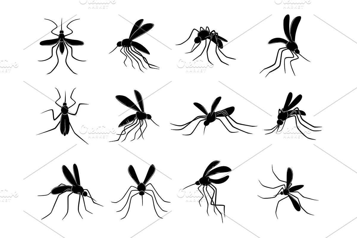 Mosquito. Flying insects carriers of in Graphics - product preview 8
