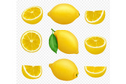Lemons collection. Realistic picture