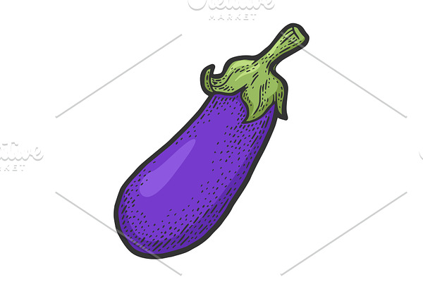Eggplant vegetable sketch vector