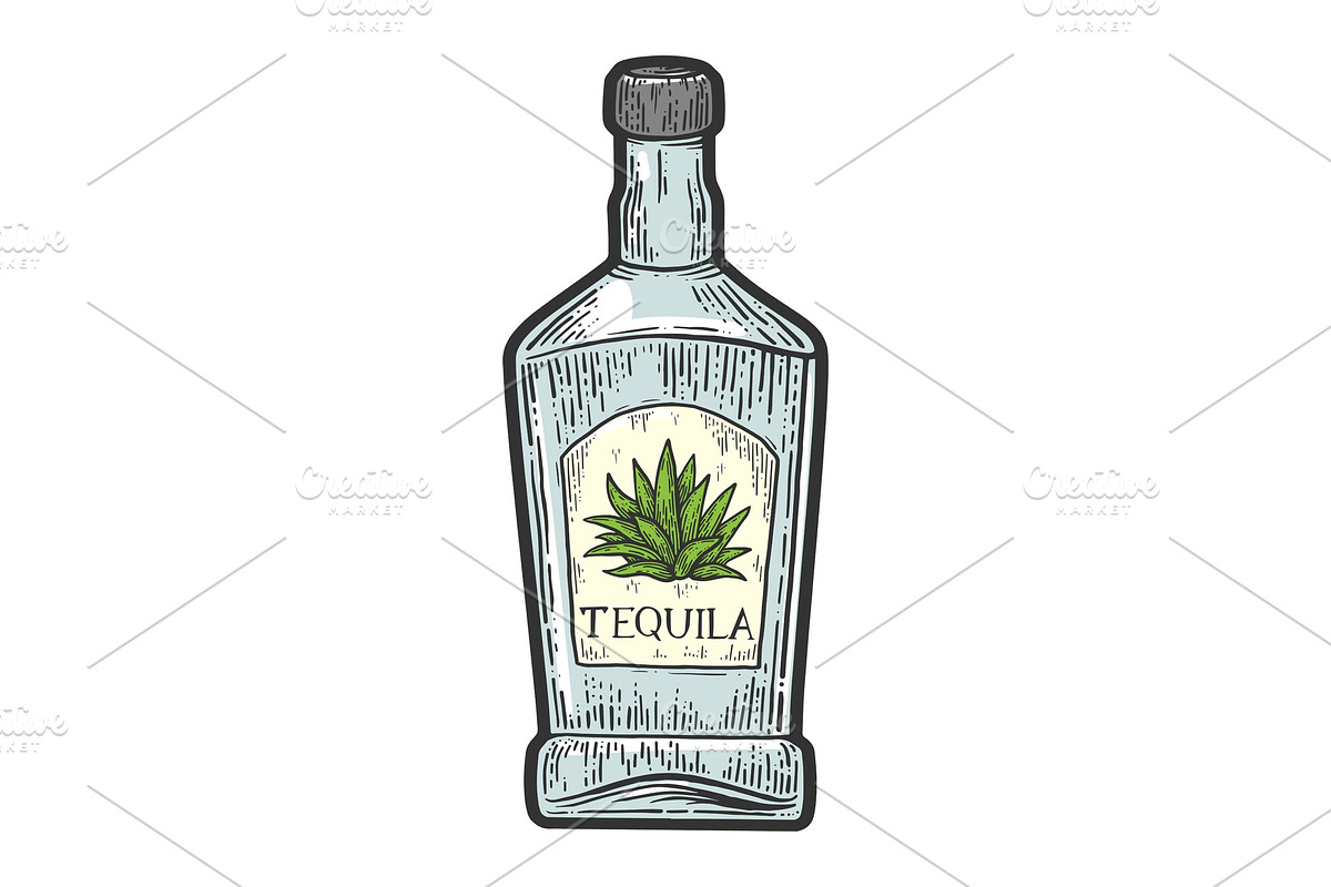 Tequila bottle sketch vector in Illustrations - product preview 8