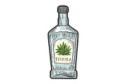 Tequila bottle sketch vector