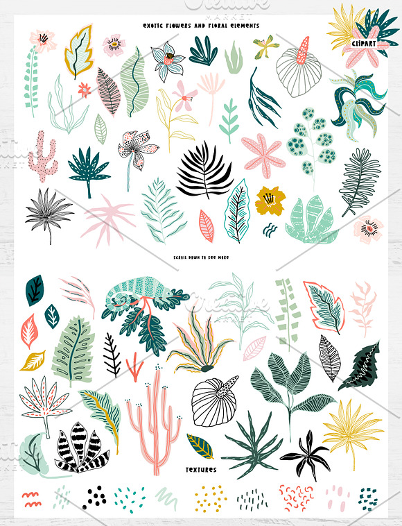 TROPICANA GRAPHIC COLLECTION in Patterns - product preview 1