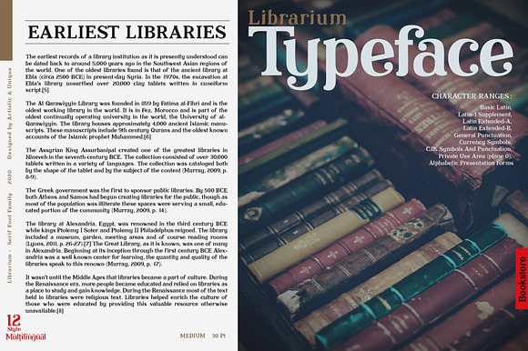 Librarium - Serif Font Family in Serif Fonts - product preview 7