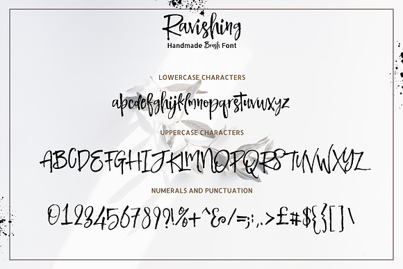 Ravishing Brush Font in Script Fonts - product preview 11
