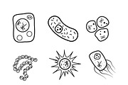 Set of biology cells icons