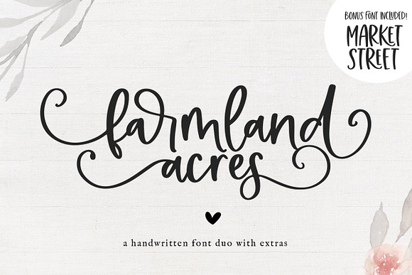 Farmland Acres | Script Font Duo in Script Fonts - product preview 17