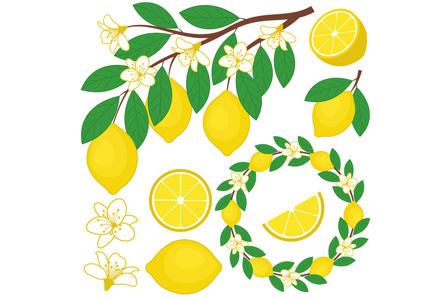 Lemon Set in Illustrations - product preview 8