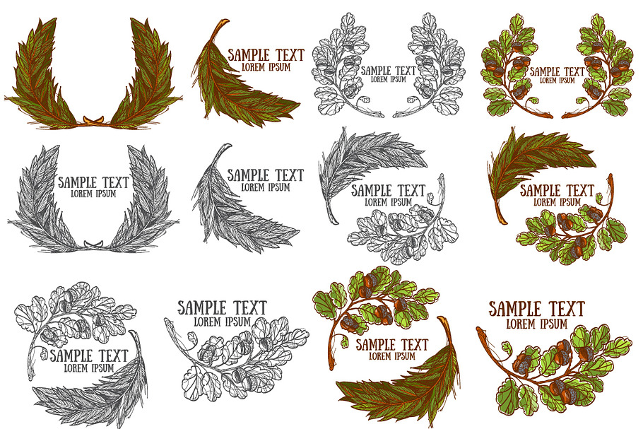 Oak Acorns and Leaves in Illustrations - product preview 8