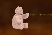 FCPX Template: Teddy Bear