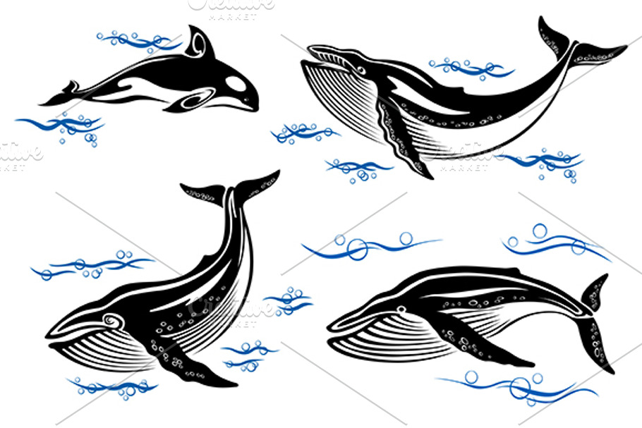 Cartoon sea whales in Graphics - product preview 8