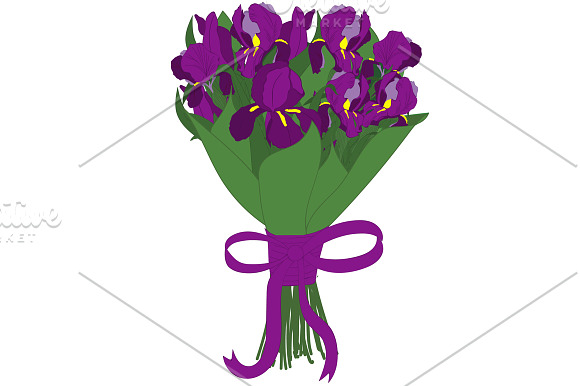 Bouquet of irises, tulips freesias in Illustrations - product preview 7