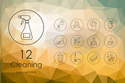 12 cleaning icons