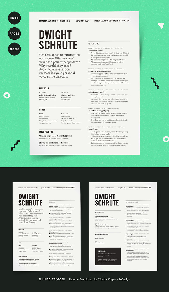 Resume Template Word Pages InDesign in Resume Templates - product preview 4