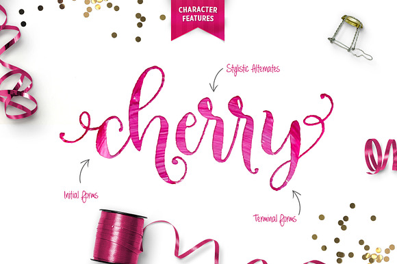 Celebrate Font & Graphics Pack in Script Fonts - product preview 7