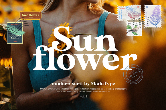 Modern Font Bundle | 95% Off in Serif Fonts - product preview 1
