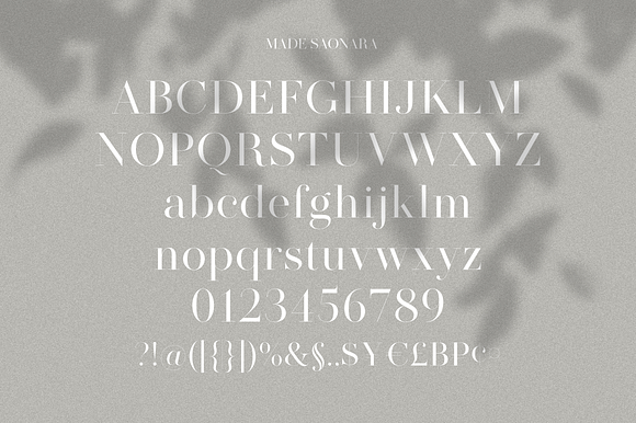 Modern Font Bundle | 95% Off in Serif Fonts - product preview 22