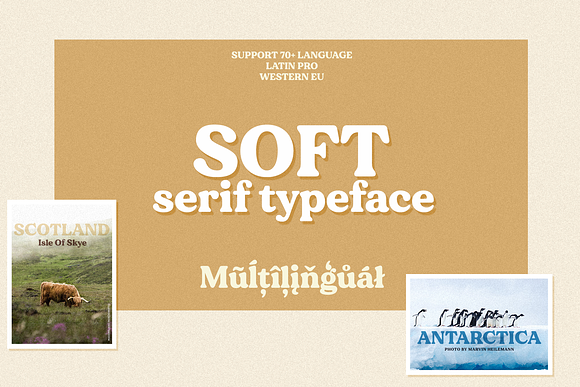 Modern Font Bundle | 95% Off in Serif Fonts - product preview 26