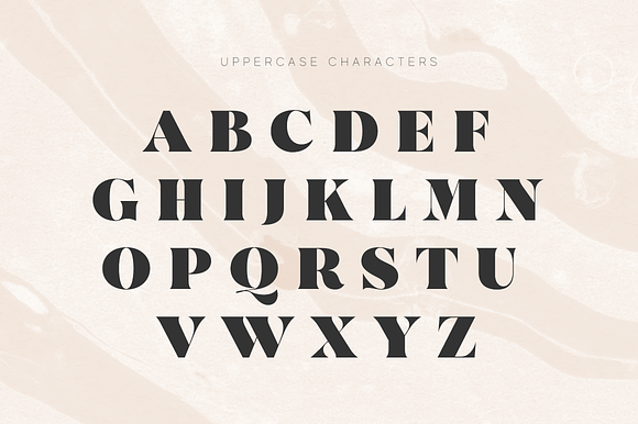 Modern Font Bundle | 95% Off in Serif Fonts - product preview 37