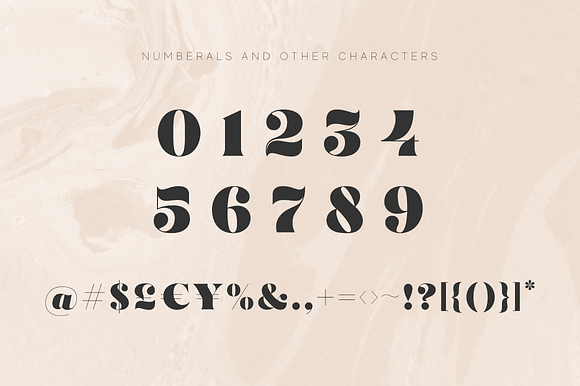 Modern Font Bundle | 95% Off in Serif Fonts - product preview 39