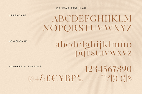 Modern Font Bundle | 95% Off in Serif Fonts - product preview 45