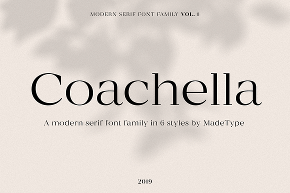 Modern Font Bundle | 95% Off in Serif Fonts - product preview 52