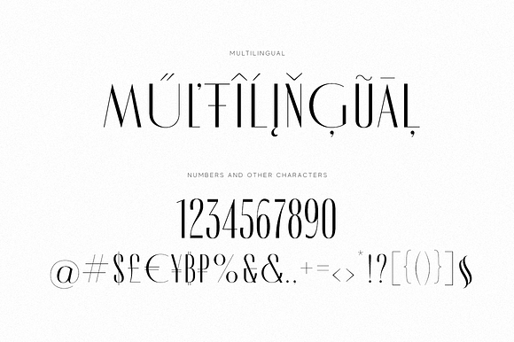 Modern Font Bundle | 95% Off in Serif Fonts - product preview 94
