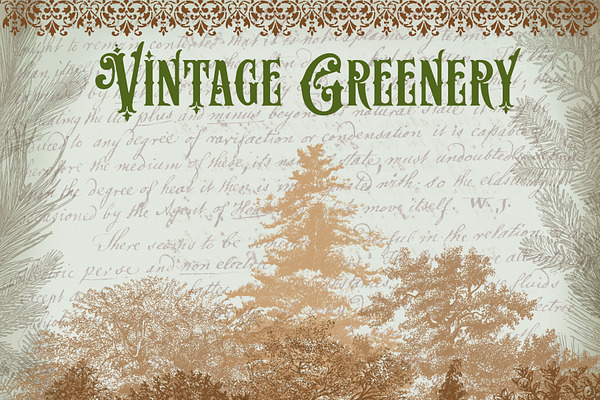 37 Vintage Greenery and Tree Clipart