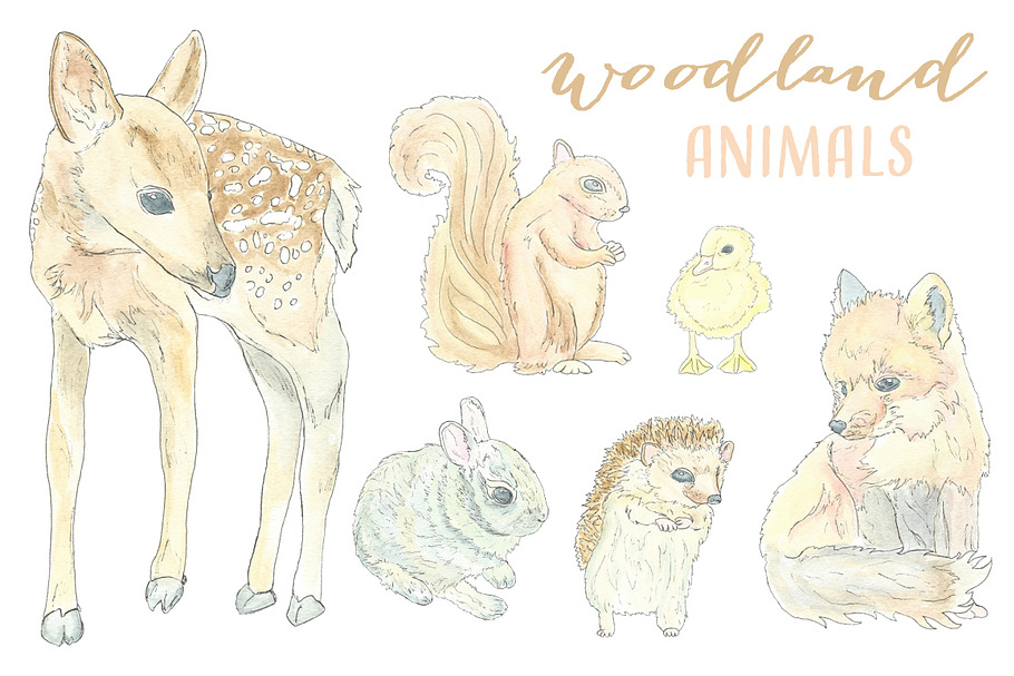 Watercolor Woodland Animals