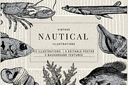 Vintage Nautical Graphics