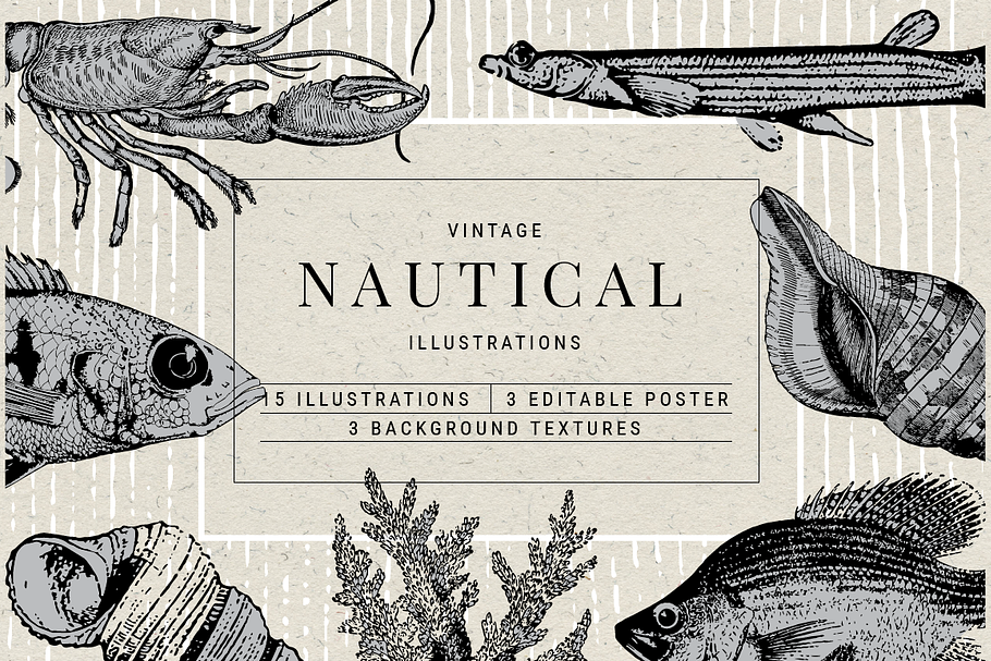 Vintage Nautical Graphics in Illustrations - product preview 8