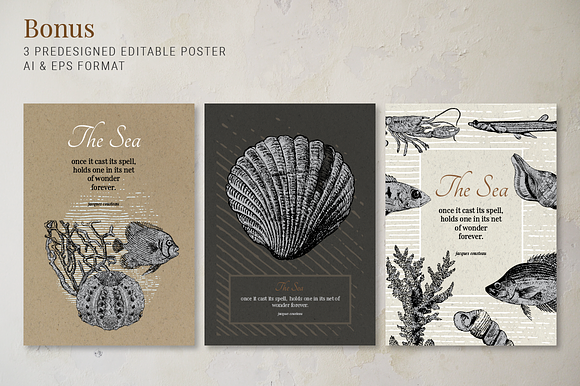 Vintage Nautical Graphics in Illustrations - product preview 1