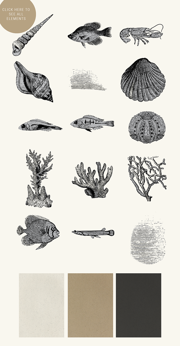 Vintage Nautical Graphics in Illustrations - product preview 2