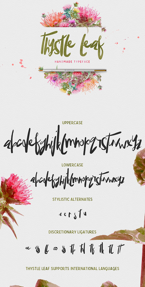 Thystle Leaf Typeface -20% OFF in Display Fonts - product preview 4