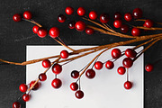 Vertical Red Berries and Stationary