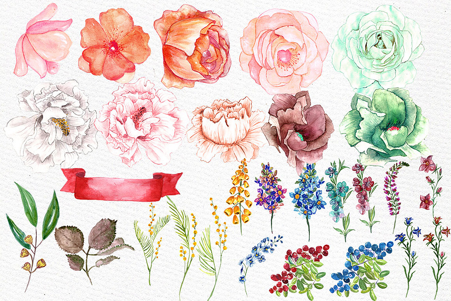 Watercolor floral clip art in Illustrations - product preview 2
