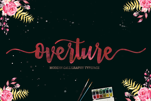 Overture in Script Fonts - product preview 10